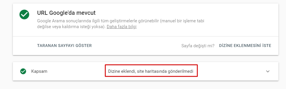 Dizin sorunları